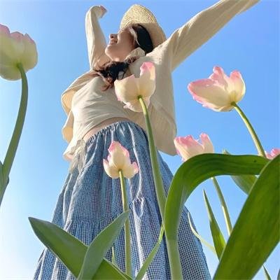菜鸟囧探